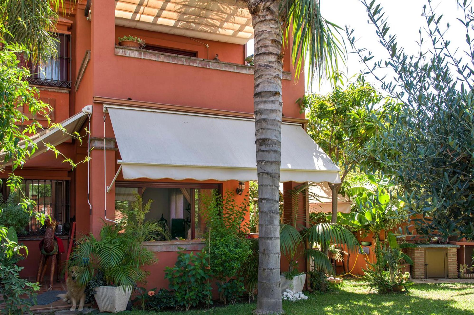 La Buganvilla Del Chaparral *